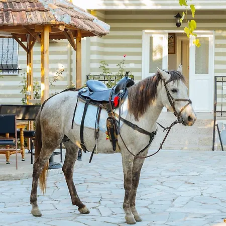 Alojamento de Turismo Selvagem 1