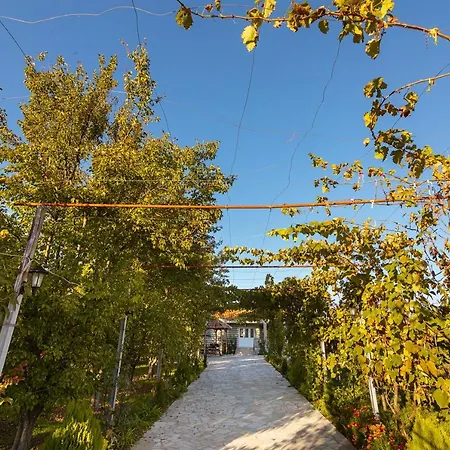 1 Alojamento de Turismo Selvagem