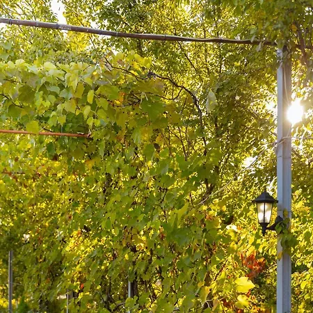 1 Alojamento de Turismo Selvagem *