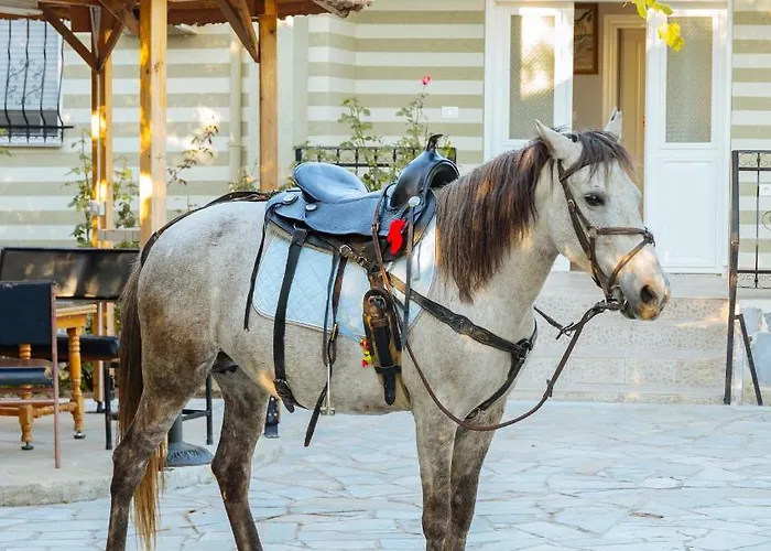 Alojamento de Turismo Selvagem 1