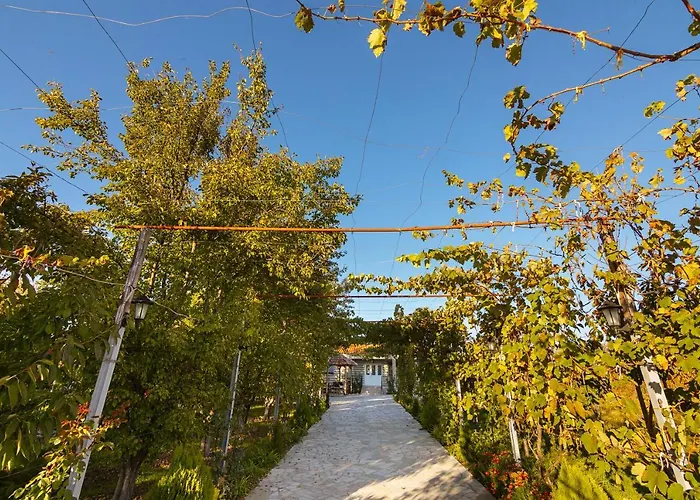 1 Alojamento de Turismo Selvagem