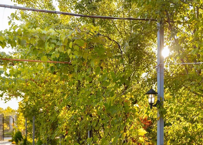 1 Alojamento de Turismo Selvagem *